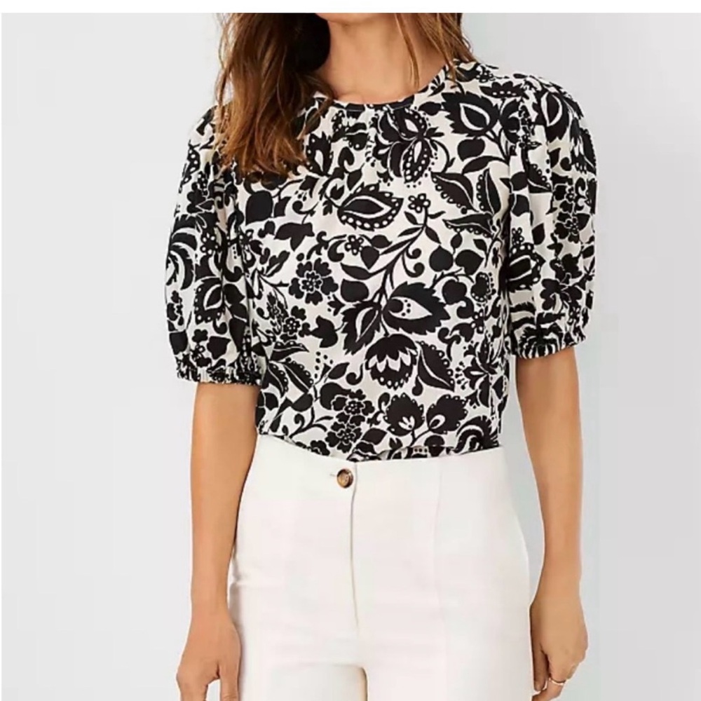 Ann Taylor Black and White Floral Blouse